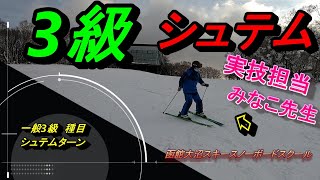 一般3級検定種目・シュテムターン、いい例、悪い例