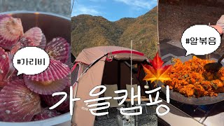 부지런하게 먹고 온 가을캠핑 브이로그ㅣ충주 캠프팔봉 캠핑장 🏕️