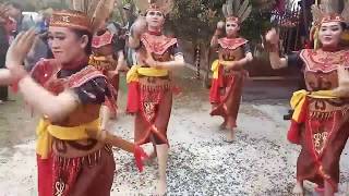 TARIAN MANDAU PENYAMBUTAN PENGANTEN || TARIAN ADAT DAYAK KALTENG