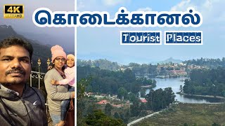 கொடைக்கானலில் பார்க்க வேண்டிய இடங்கள் | Experience Kodaikanal: Scenic Views and Top Attractions