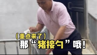 客家话俗语“猪接勺”度乌阿叔按尼讲