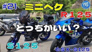 #21【GSX-S125】ミニぺけちゃんはどっちがいいの？ＧＳＸ－Ｓ１２５？ＧＳＸ－Ｒ１２５？