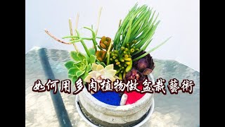 花藝設計 | 如何用多肉植物做插花藝術盆景