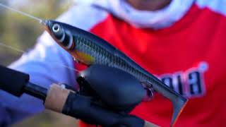 Adam Sharam runs through his Murray Cod setup