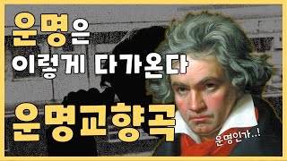 클래식 명곡 l 운명교향곡 1악장 l 베토벤이 운명을 대하는법?