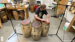 Spalted Poplar Solid Shell Conga Set