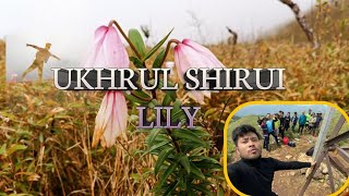 Shiroi Peak Ukhrul 2022 | Shiroi Lily | A Trip from Moirang to Ukhrul | Johnson's VLOG