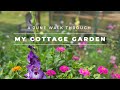 A June Cottage Garden Tour | Welcome Summer | The Southern Daisy