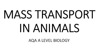 MASS TRANSPORT IN ANIMALS - AQA A LEVEL BIOLOGY + EXAM QUESTION RUN THROUGH