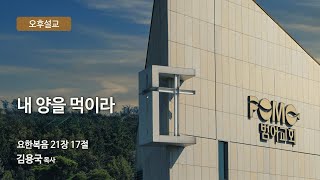 23.02.26 | 내 양을 먹이라 | 김용국 목사 | 범어교회 오후설교