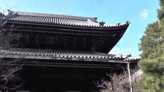 知恩院 その3 阿弥陀堂 京都の名所　Chion-in Temple tourist attractions in Kyoto part.3