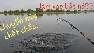 Chiến đấu với cá tra khổng lồ Rừng Tràm Chim. Kiệt sức với con quái vật này | Săn bắt SÓC TRĂNG |