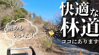 【テネレ700で林道実況】千葉県の林道豊岡線をテネレ700で走りました。最近までライダーを悩ませていたアイツらはもういない！？