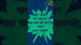 পাহাড় পরিমান ঋণ পরিশোধ হয়ে যাবে যে আমলটি করলে #waz #আজহারী #ahmadullah