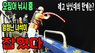 레고 낚시대로 오징어 낚시중  엄청난 물고기를 만났다 !! Squid fishing/초짜낚시