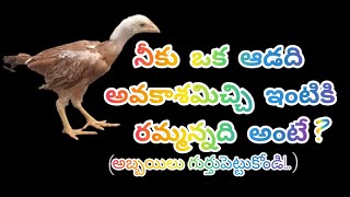 నీకు ఒక ఆడది అవకాశమిచ్చి ఇంటికి రమ్మన్నది అంటే?.. relationship Quotes..