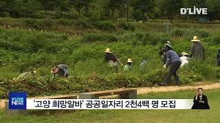 '고양 희망알바' 공공일자리 2천 4백 명 모집(서울경기케이블TV뉴스)