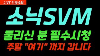 [소닉 SVM] 주말대응전략 공개 #소닉SVM #소닉SVM코인 #소닉SVM상승 #소닉SVM업비트상장 #업비트상장