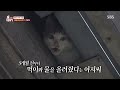 은행 간판 뒤에 3개월째 갇힌 고양이 i tv동물농장 animal farm sbs story