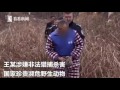 奇葩眼丨安徽老汉用踩吊陷阱 残忍捕杀濒危物种野生梅花鹿