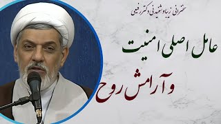 استاد رفیعی | سخنرانی شنیدنی با موضوع عامل اصلی امنیت و آرامش روح