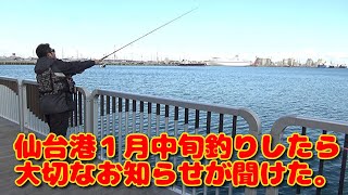 【仙台港餌釣り】１時間餌を投げて待っているといいお知らせも聞ける。