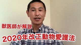 2020年動物愛護法3つの改正内容を獣医師が解説