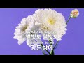 ky entertainment 댄서의 순정 박신자 ky.283 ky karaoke