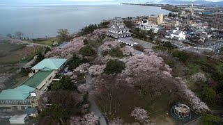 スタこほRecommend4月号その１　湖北空中散歩　桜だより　豊公園（FHD画質）