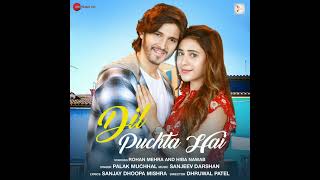 Dil Puchta Hai (Audio) - Rohan Mehra & Hiba Nawab | Palak Muchhal, Sanjeev Darshan | New Song 2022