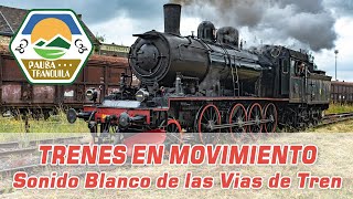 #directo Viaje en Tren Clásico 🚂🌄 Sonido Blanco para Dormir, Leer y Relajarse #trenes #trenesespaña