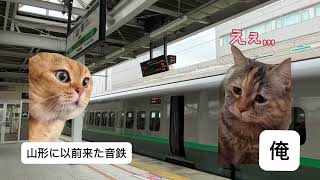 東北に音鉄に行ったやつの猫ミーム#猫ミーム