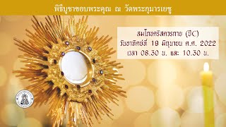 สมโภชพระวรกายและพระโลหิตพระคริสตเจ้า (ปี C) | วันอาทิตย์ที่ 19 มิถุนายน ค.ศ.2022 เวลา 10.30 น.