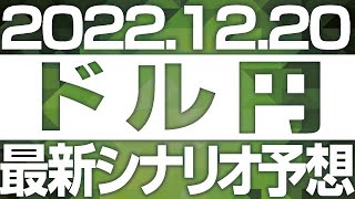 FXドル円最新シナリオ予想＆全エントリー先出し解説 ［2022/12/20］※2倍速推奨