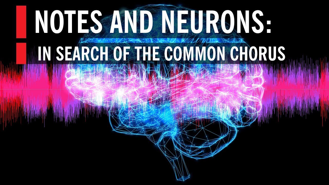 Notes And Neurons In Search Of The Common Chorus Youtube Music