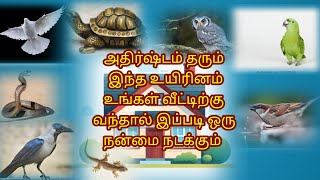 அதிர்ஷ்டம் தரும் இந்த உயிரினம் உங்கள் வீட்டிற்கு வந்தால் என்ன பலன்?#tamil #aanmeegam#tips