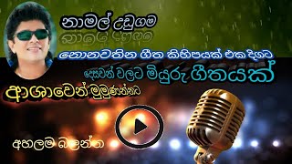 Namal Udugama Hit Song විඩාබර ජිවිතයට අස්වැසිල්ලක් ලෙසින් අප අතර රැදුණු ගීතයක්......