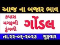 commodity prices 22-06-2023 Gondal marketing yard na bhav|ગોંડલના ભાવ | saurashtra aajn bajar bhav