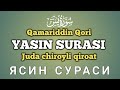 Yasin surasi | Qamariddin qori (Namozgoh jome masjidi) Yosin surasi beautiful recitation ЯСИН СУРАСИ