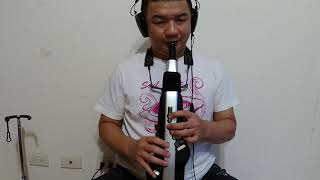 2021.08.14 安平追想曲 Am調(C調) (含前奏尾奏) Roland Aerophone Pro (AE-30) cover by Billy Wang