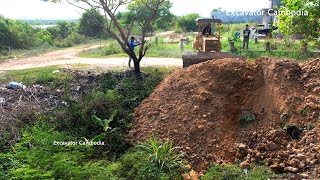 Completed 100% Bulldozer D31P \u0026 Truck 5Ton Collaborate take project Pour dry soil​ on Flooded land