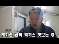 북방 산개구리 엑기스 즙 만드는 과정 더이상 이런 보약은 없다 개구리 엑기스 개구리즙 개구리중탕