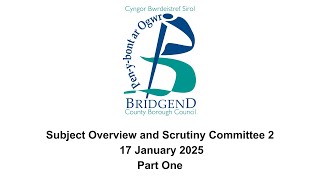 Subject Overview and Scrutiny Committee 2 - 17 January 2025 - Part One