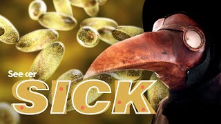 Why the Bubonic Plague Still Exists Today
