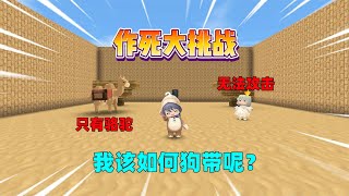 迷你世界：作死大挑战！无法攻击却只有骆驼，汉堡能成功狗带吗？