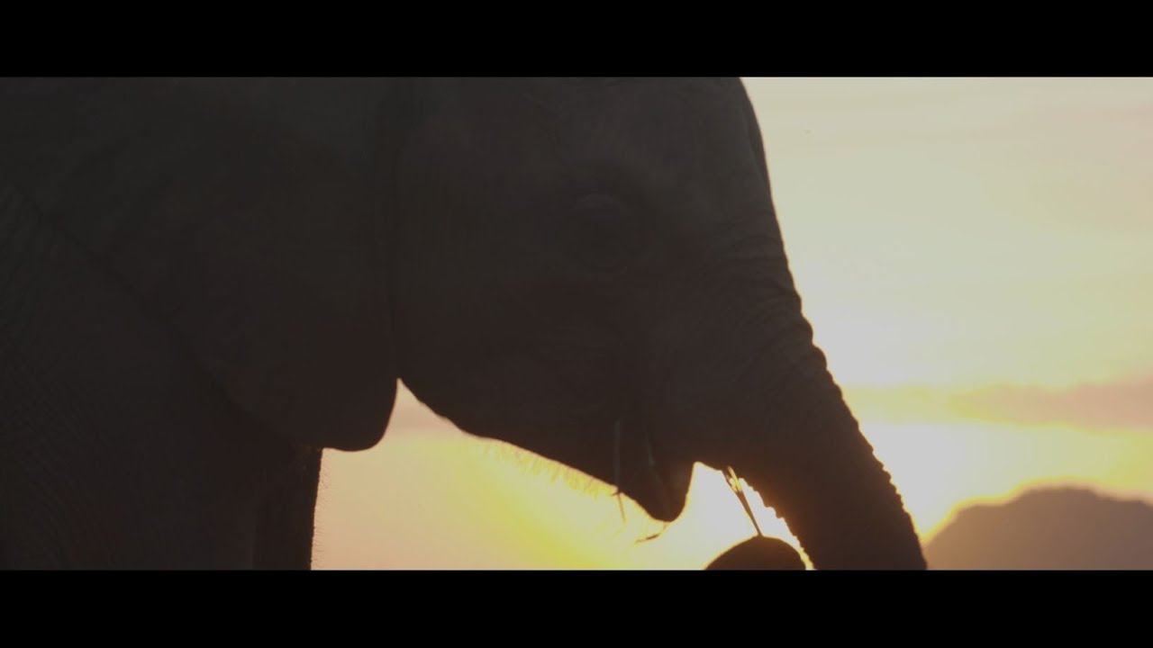 About The Swt Videos