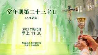 #直播彌撒【常年期第二十三主日】陳志明神父