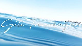Diving Indonesia - Gili Trawangan (SSI Tides, Waves & Currents)