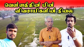 வெள்ளத்தில் பாதிக்கப்பட்ட வேளாண்மை /Flooded agriculture #kuchchiice #flood #agriculture