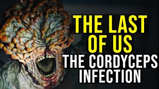 THE LAST OF US (Ophiocordyceps Outbreak, Infected, Factions + Ending) EXPLAINED